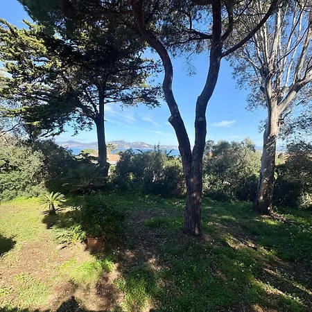 Les Grillons Presqu'ile De Giens Vue וילה