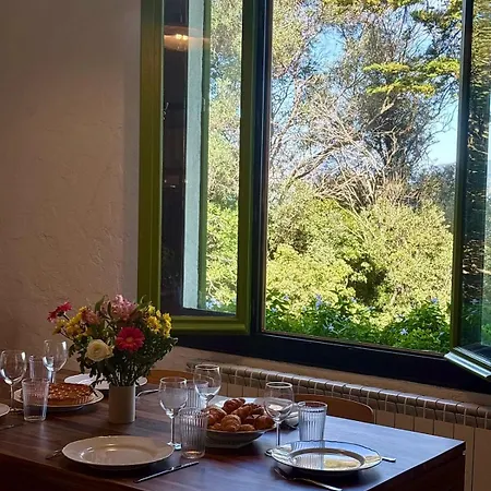 Les Grillons Presqu'ile De Giens Vue Hyères