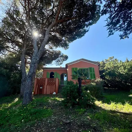 Les Grillons Presqu'ile De Giens Vue Villa